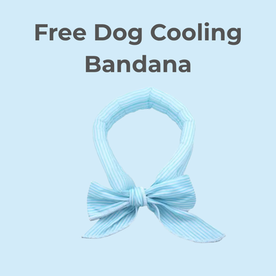 Dog Cooling Bandana