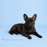 ChillNap Ice-Soft Cooling Mat For French Bulldog
