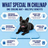 ChillNap Ice-Soft Cooling Mat For French Bulldog