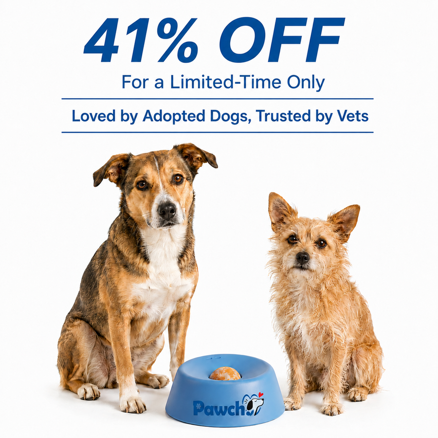 Because Your Dog Deserves More.
