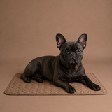 ChillNap Ice-Soft Cooling Mat For French Bulldog