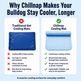 ChillNap Ice-Soft Cooling Mat For French Bulldog