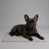 ChillNap Ice-Soft Cooling Mat For French Bulldog