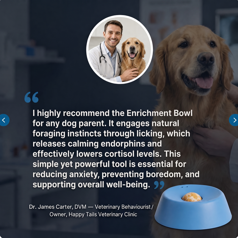 The Brave Bowl